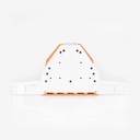 GOOD4BEES-frelon-asiatique-asiatische-hornisse-asian-hornet-muselière-hive-protection