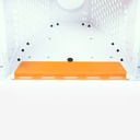 GOOD4BEES-frelon-asiatique-asiatische-hornisse-asian-hornet-muselière-hive-protection