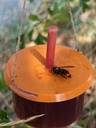 Couvercle pour pot à mèche compatible avec piège GOOD4BEES